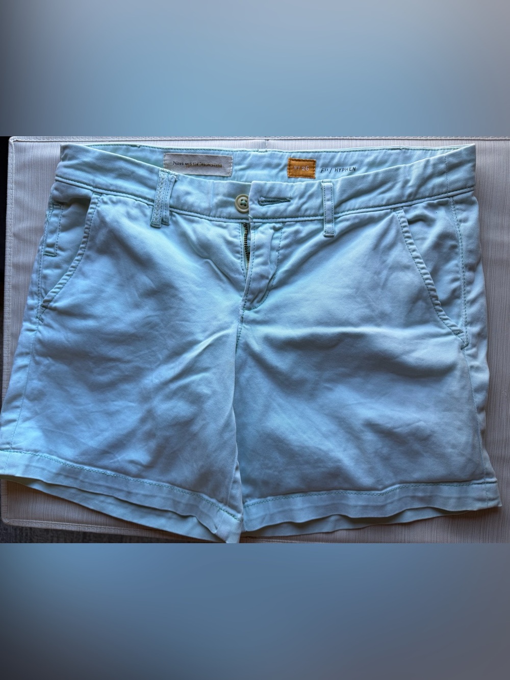 Anthropology Pilcro and the Letterpress Hyphen No. 26 Light Blue Cotton Shorts